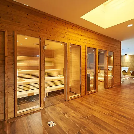 Hotel Hotel-restaurant Schwaiger*** Eben Im Pongau