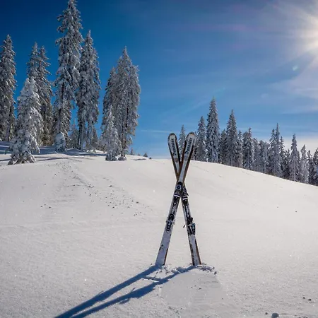 Hotel-restaurant Schwaiger*** 3* Eben Im Pongau