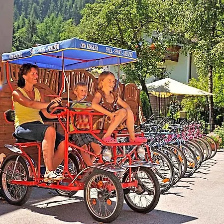 Hotel-restaurant Schwaiger*** 3* Eben Im Pongau