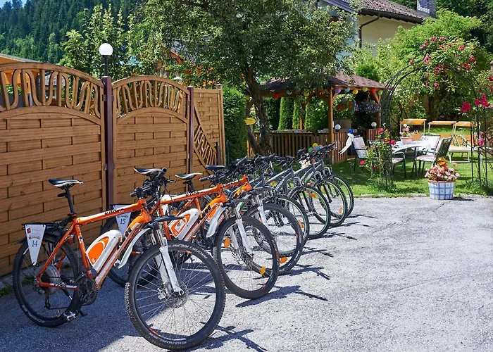 Hotel-restaurant Schwaiger*** Hotel 3*